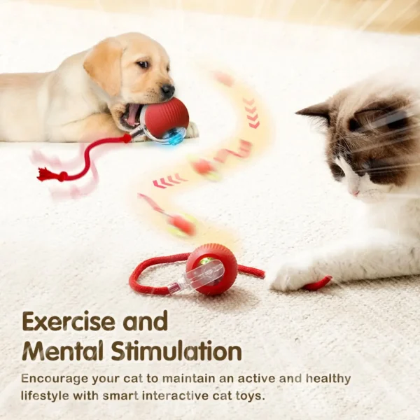 Cat Interactive Ball Toy, Automatic Rolling Ball with Tail, Rechargeable Smart Pet Interactive Toy, Intelligent Mouse for Cat - Image 26
